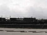 NS 8818